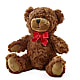 Adorable Plush Bear – Leekers Floral, Park City KS
