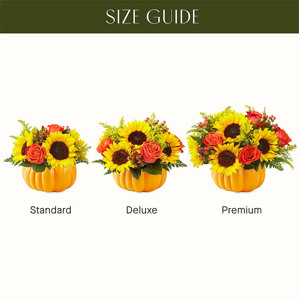 Pick of the Patch Pumpkin Bouquet – Leekers Floral, Park City KS