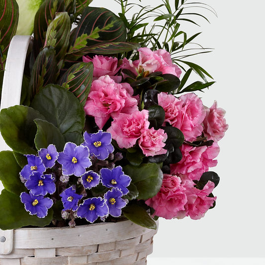 Peaceful Garden Planter – Leekers Floral, Park City KS