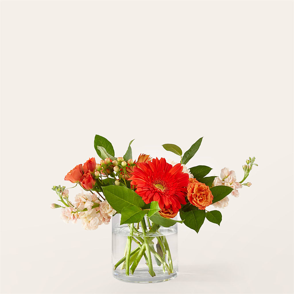 Paloma Please Bouquet – Leekers Floral, Park City KS
