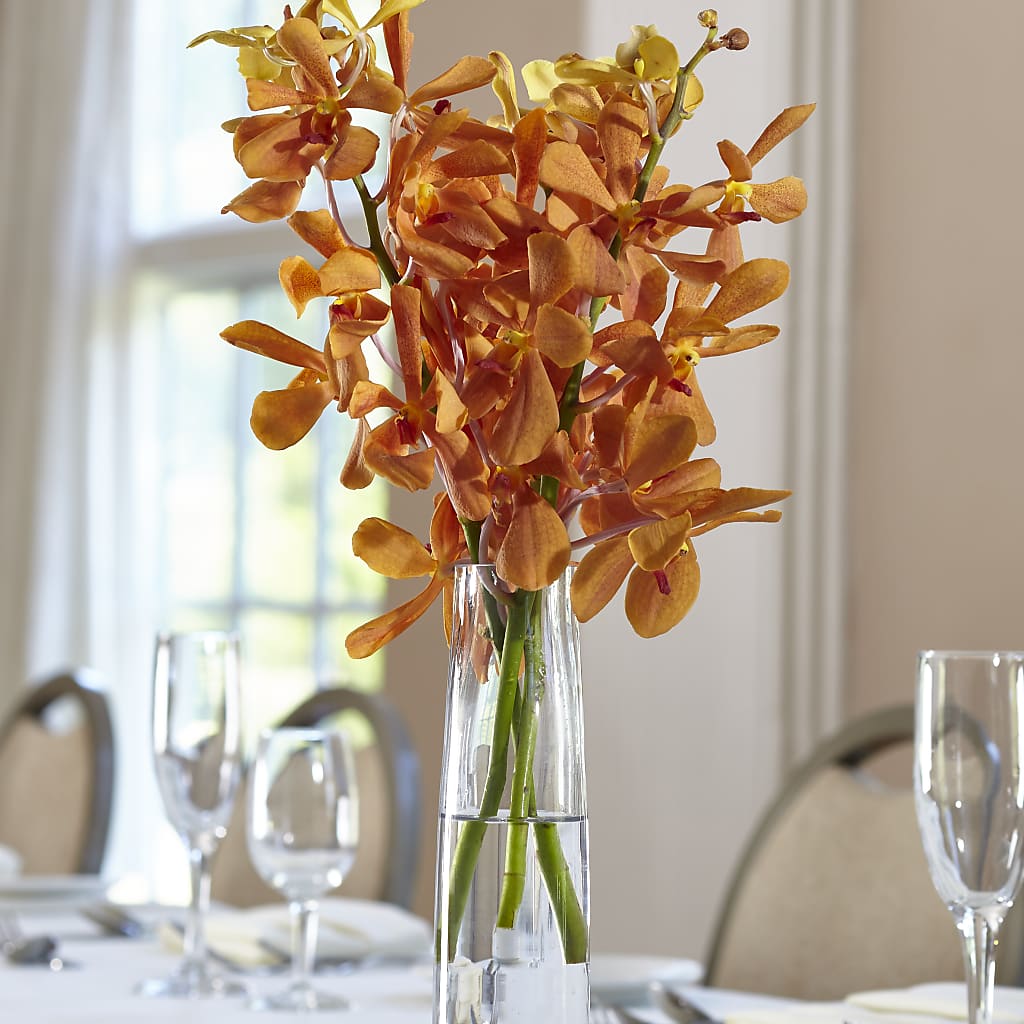 Orange Mokara Bud Vase – Leekers Floral, Park City KS