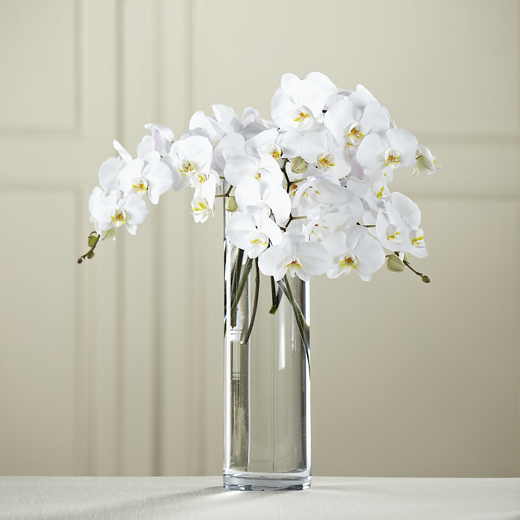 White Phalaenopsis Bouquet – Leekers Floral, Park City KS