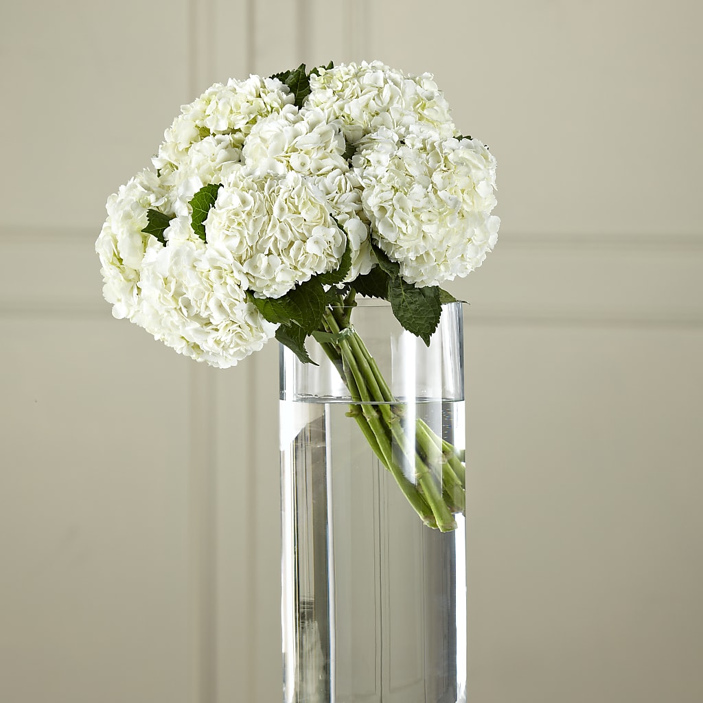 White Hydrangea Hand-Tied Bouquet – Leekers Floral, Park City KS