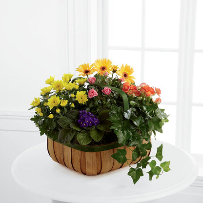 Gentle Blossoms Basket –  Leekers Floral, Park City KS
