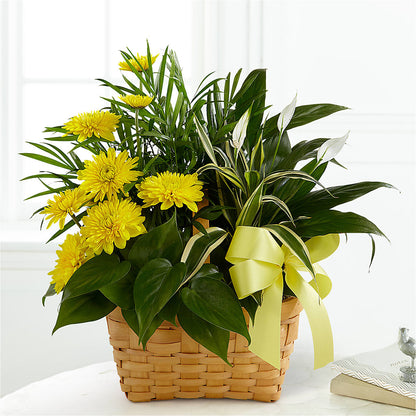 Loving Light Dishgarden –  Leekers Floral, Park City KS