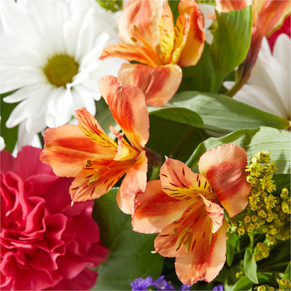 Oopsie Daisy Box Bouquet –  Leekers Floral, Park City KS