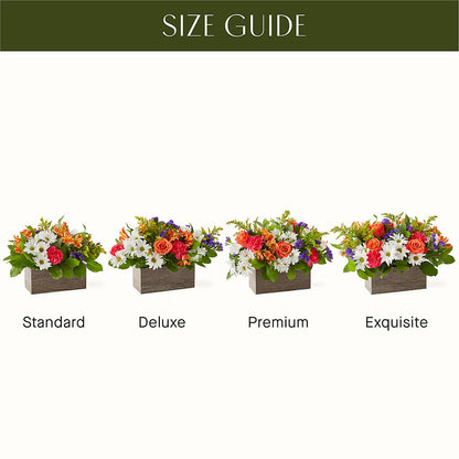 Oopsie Daisy Box Bouquet –  Leekers Floral, Park City KS