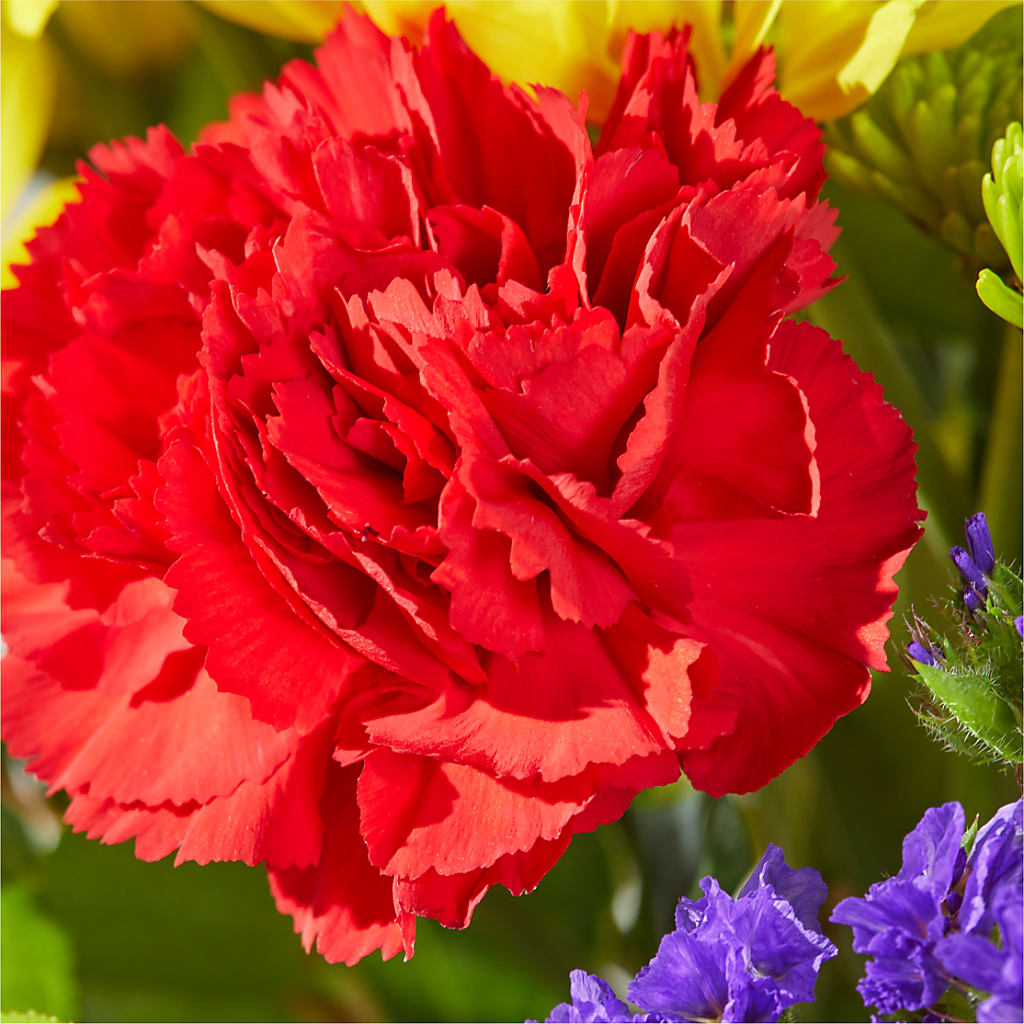 Brighter Days Bouquet –  Leekers Floral, Park City KS