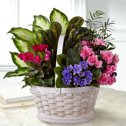 Peaceful Garden Planter –  Leekers Floral, Park City KS