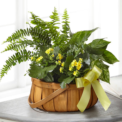 Always Dear Dishgarden –  Leekers Floral, Park City KS