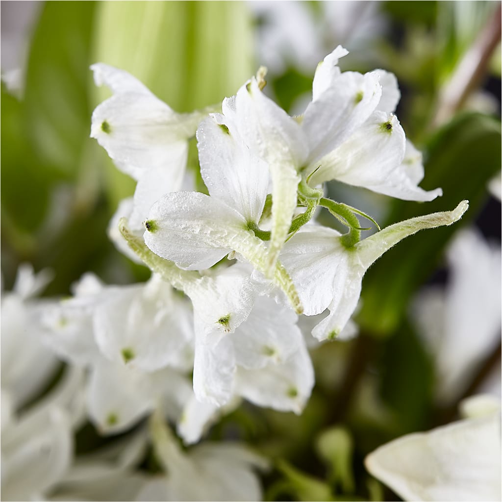 Classic Ivory – A Florist Original –  Leekers Floral, Park City KS