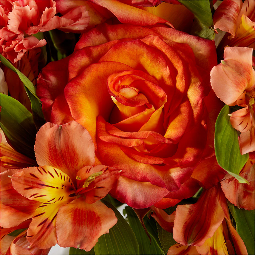 Apricot Glow Bouquet –  Leekers Floral, Park City KS