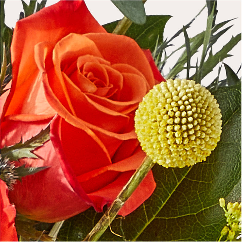 Disco Bouquet –  Leekers Floral, Park City KS