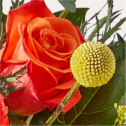 Disco Bouquet –  Leekers Floral, Park City KS