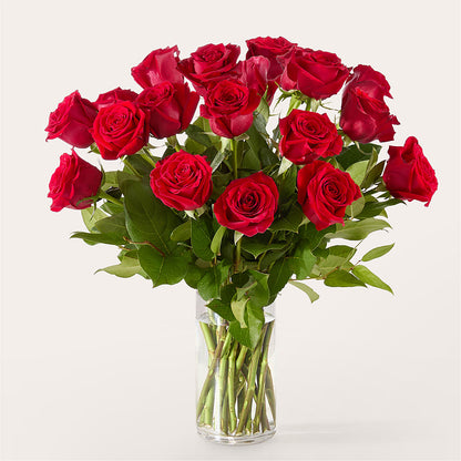 The One Red Rose Bouquet –  Leekers Floral, Park City KS