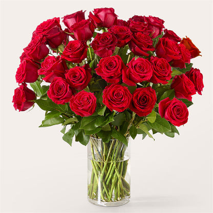 The One Red Rose Bouquet –  Leekers Floral, Park City KS