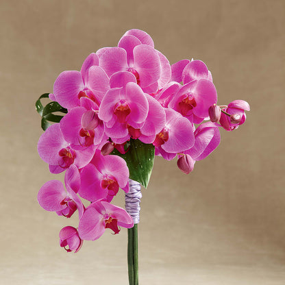 Glorious Bouquet –  Leekers Floral, Park City KS
