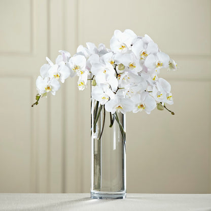 White Phalaenopsis Bouquet –  Leekers Floral, Park City KS