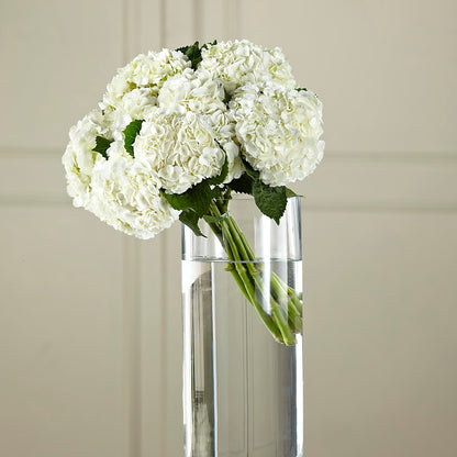 White Hydrangea Hand-Tied Bouquet –  Leekers Floral, Park City KS